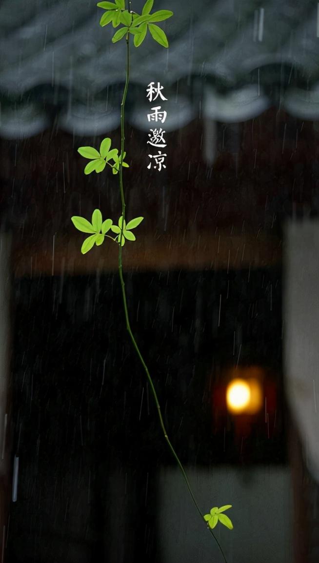 秋雨经典诗词有哪些（十首秋雨的优美诗词）