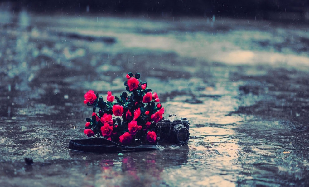 形容暴雨雷电的诗词名句（有关暴雨的十五首诗词）