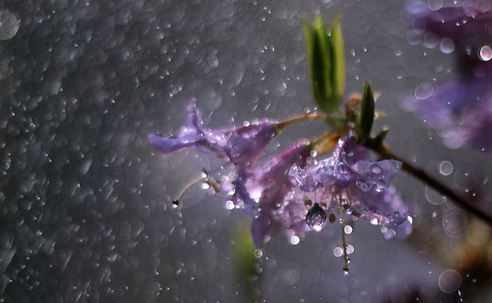 形容暴雨雷电的诗词名句（有关暴雨的十五首诗词）