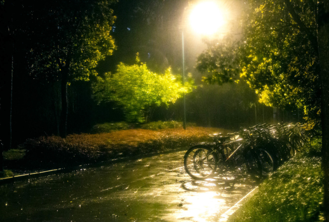 江南梅雨诗词十二首（正是江南花淡季， 梢垂新绿上窗台）