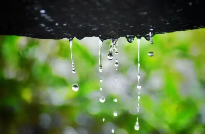 描写梅雨季节的诗词名句（12首有关梅雨的诗词）