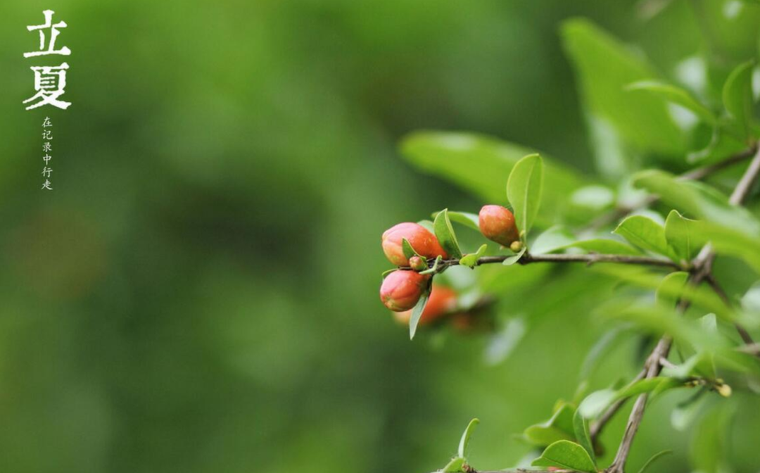 赞美夏天的优美古诗（十首立夏的优美诗词）