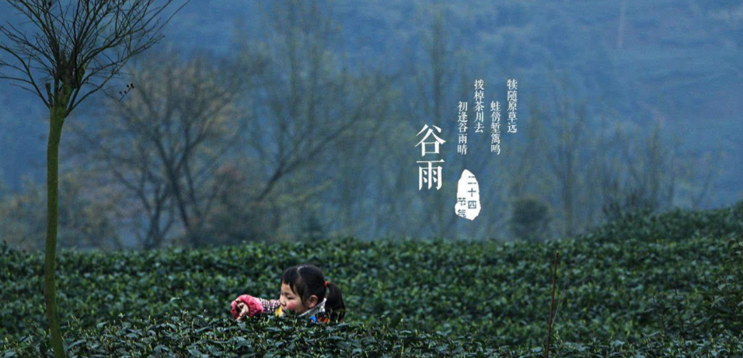 谷雨优美古诗词摘抄（十首谷雨的优美诗词）