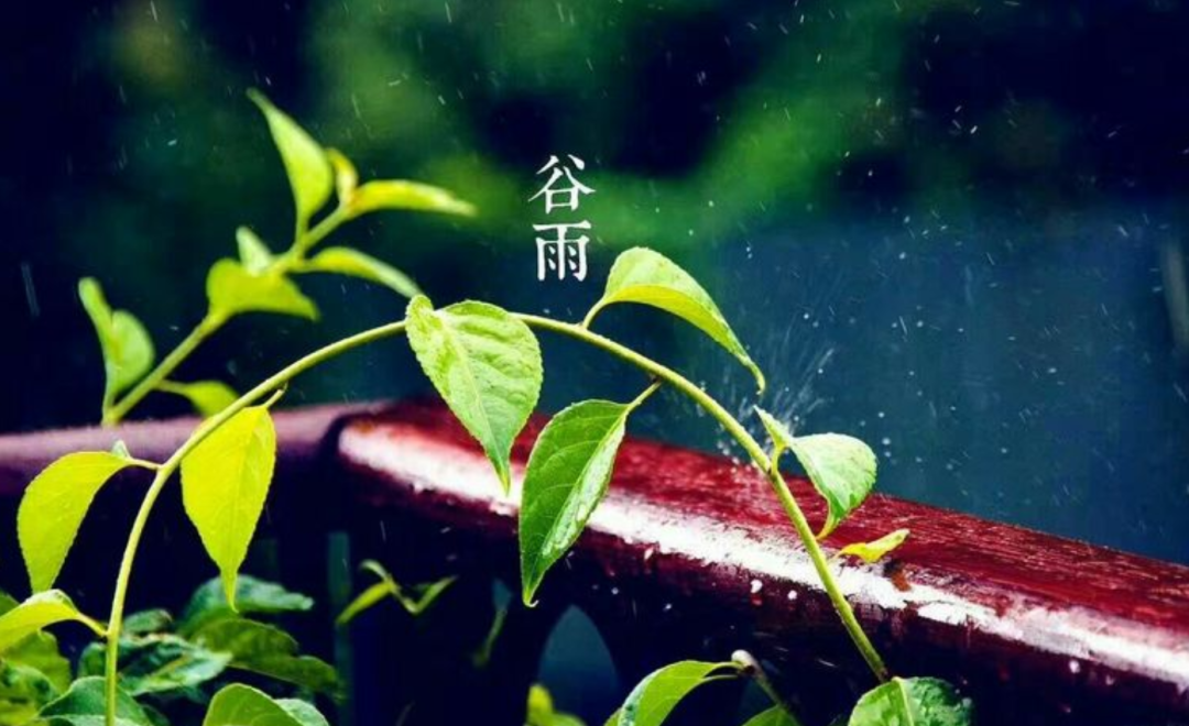 谷雨优美古诗词摘抄（十首谷雨的优美诗词）