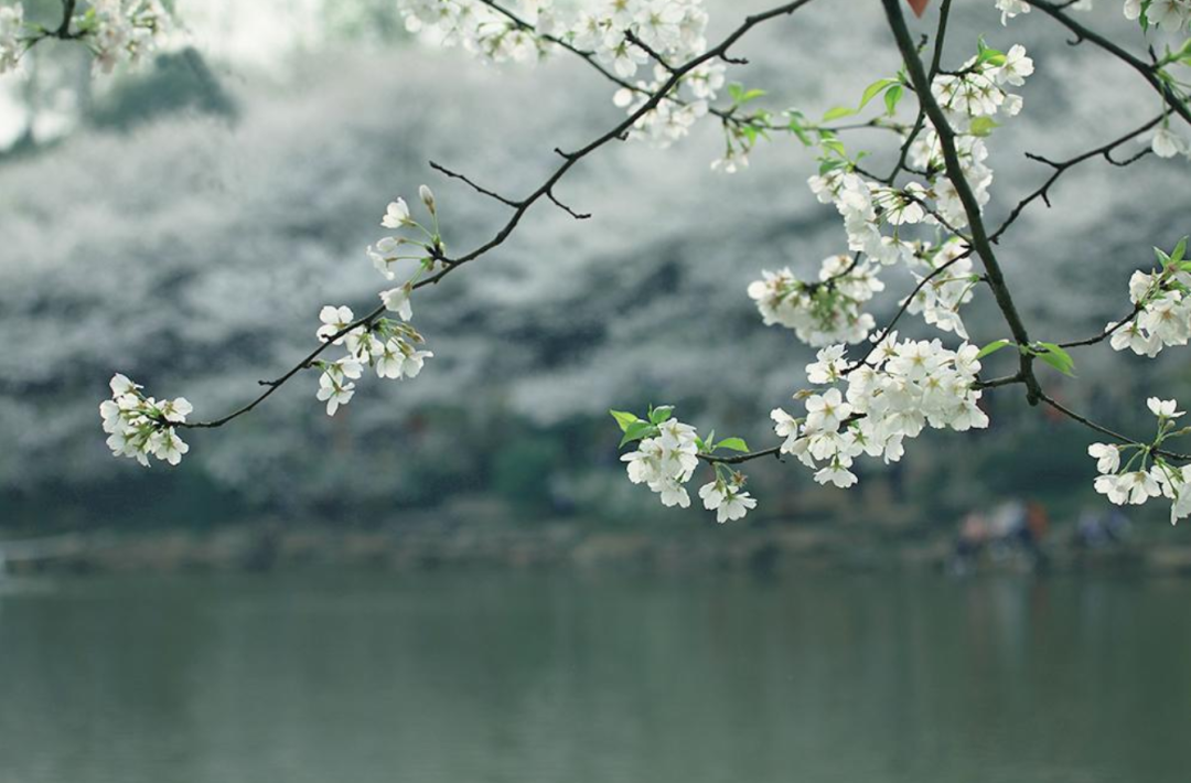 春光无限好，只是已暮春（推荐十首暮春诗词）