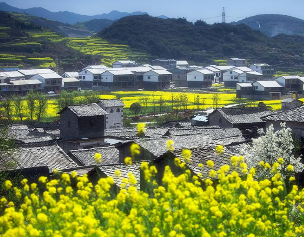 赞扬春景优美古诗（十首春景的唯美诗词）