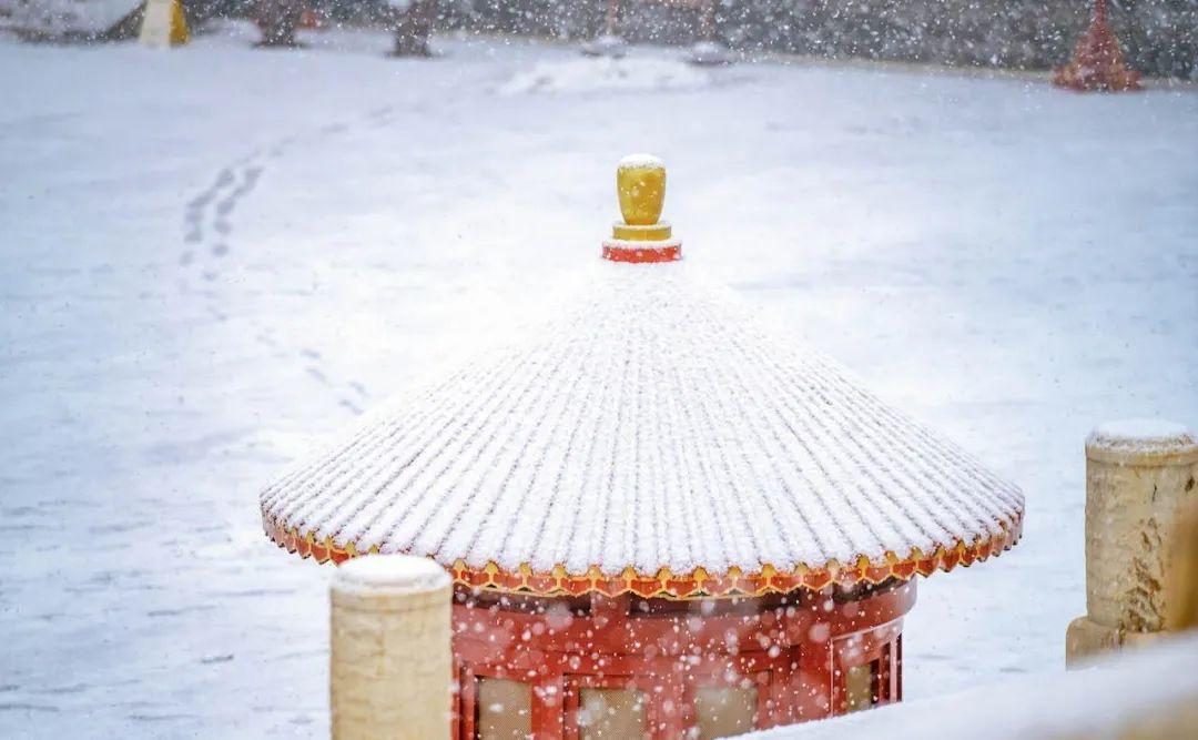 咏雪经典诗词鉴赏（10首咏雪古诗词）