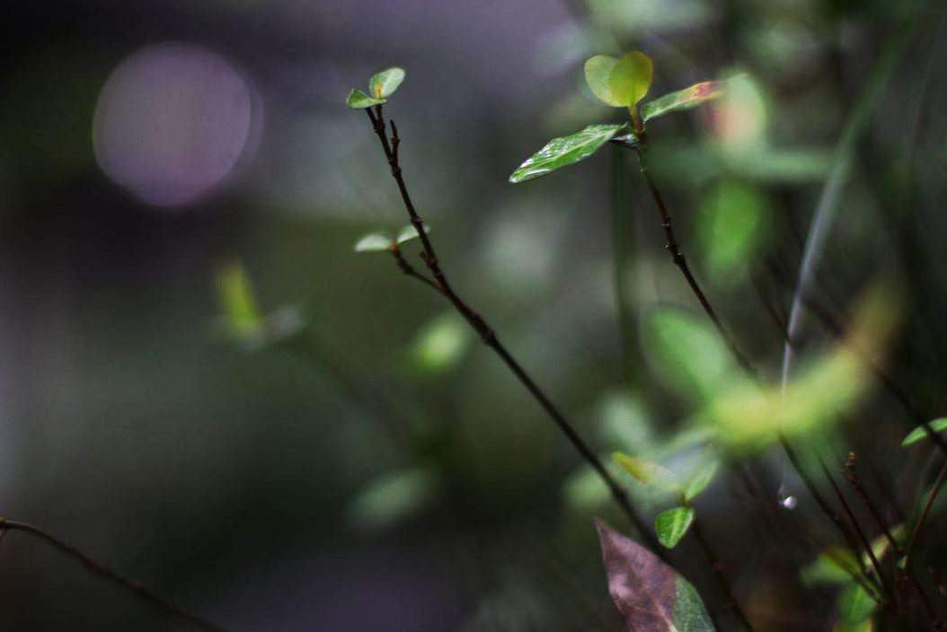 夜雨听秋，往事如烟（十首夜雨著名诗词）