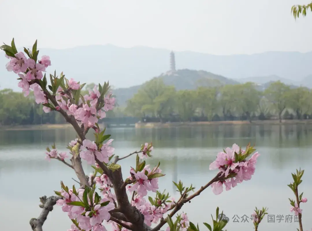 春游诗词古句大全（35首春游踏青诗词）