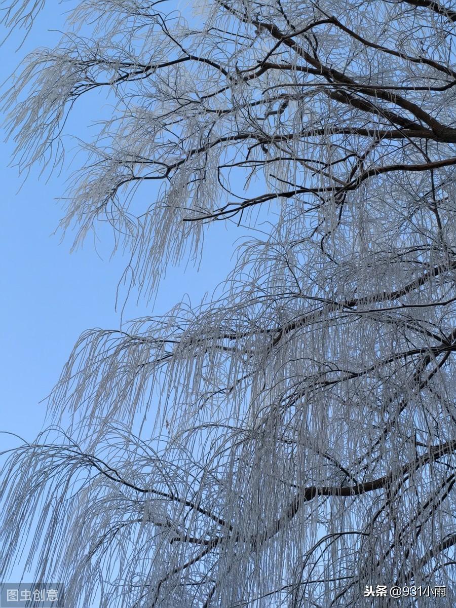 天气肃清，繁霜霏霏（精选4首冬季的古诗词）