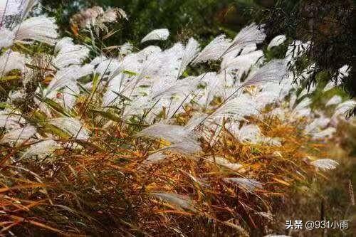 山远天高烟水寒，相思枫叶丹（推荐秋天6首古诗词）