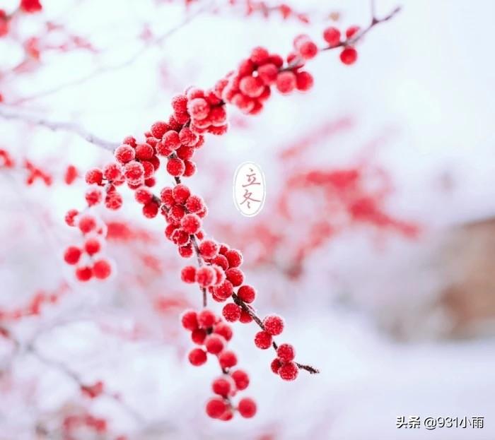 立冬优美古诗大全（一点禅灯半轮月，今宵寒较昨宵多）