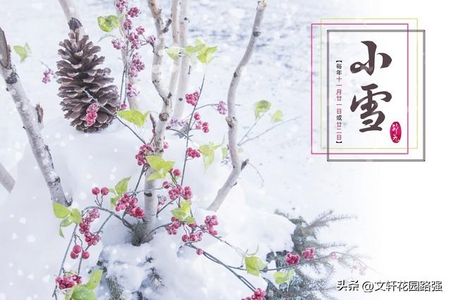 莫怪虹无影，如今小雪时（精选50首小雪诗词）