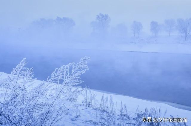 莫怪虹无影，如今小雪时（精选50首小雪诗词）