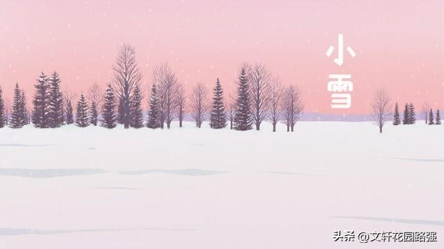 莫怪虹无影，如今小雪时（精选50首小雪诗词）