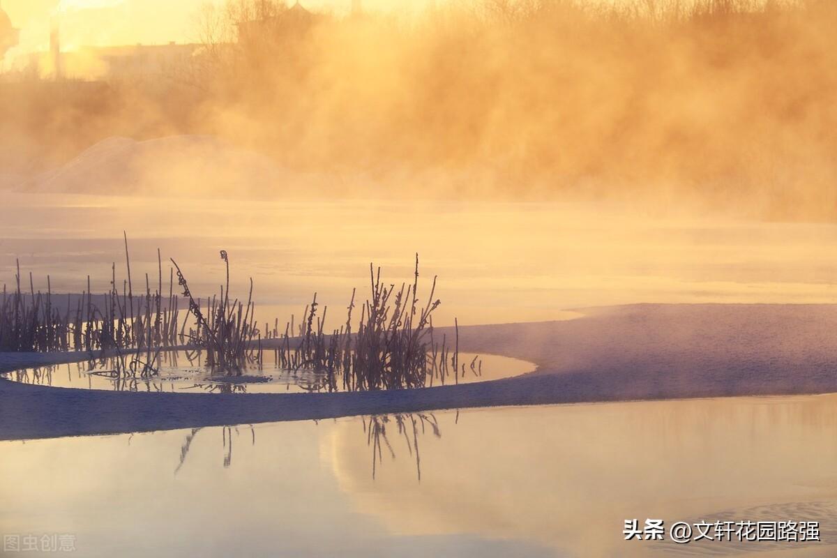 啖蔗入佳境，冬来幽兴长（立冬诗词精选40首）