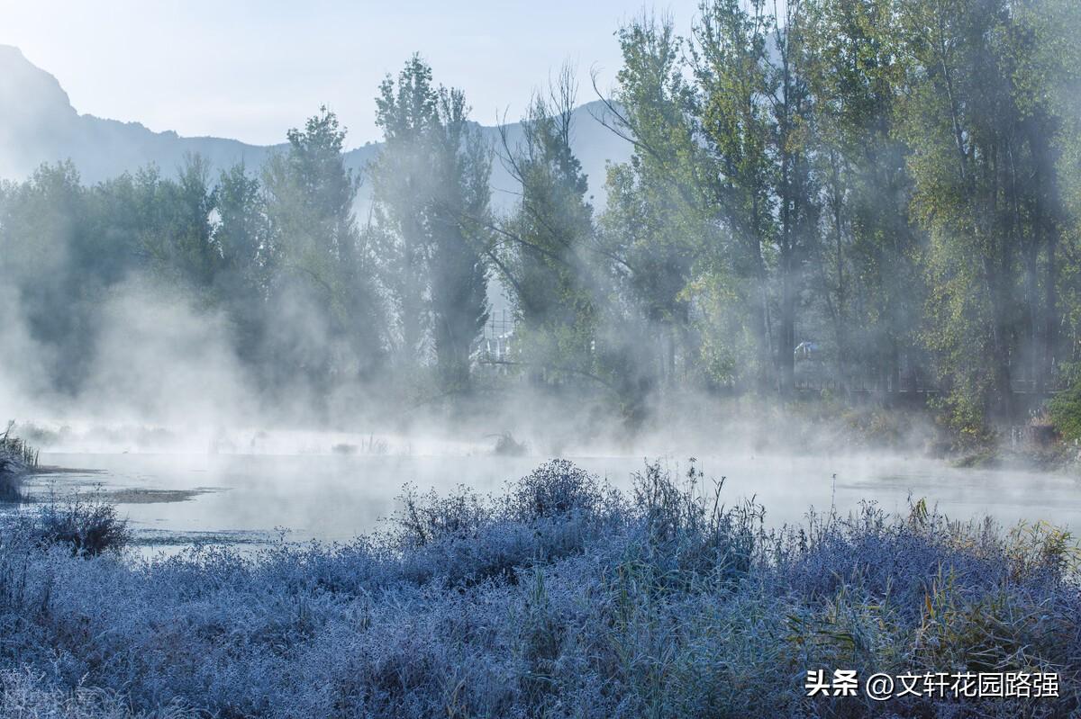 霜降鸿声切，秋深客思迷（霜降诗词精选50首）