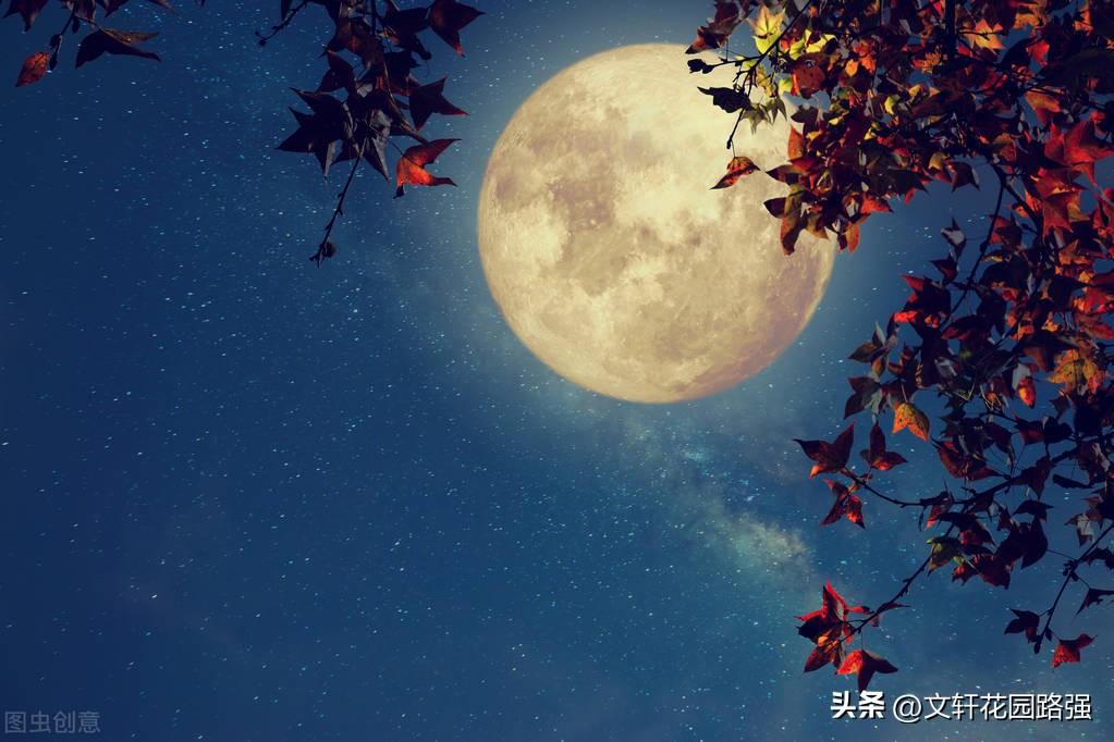 白露消磨暑，丹枫点画秋（白露诗词精选60首）