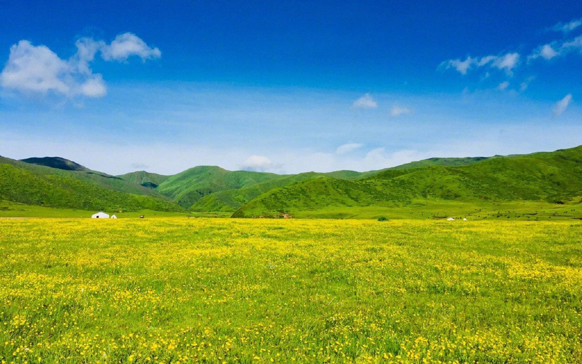 小暑时节诗词精选24首（倏忽温风至，因循小暑来）