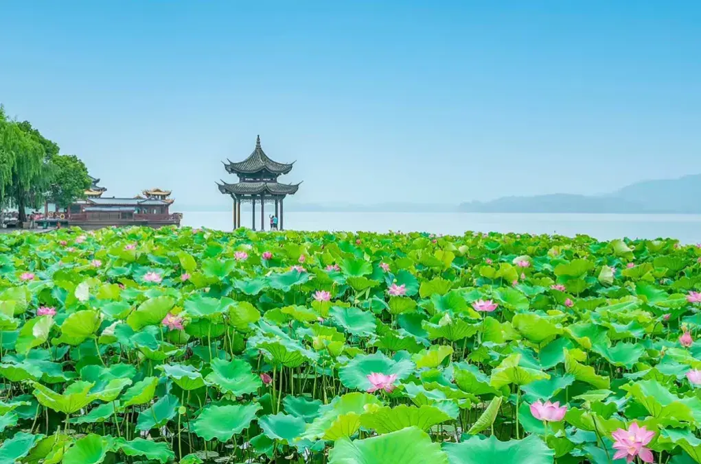 赞美夏天经典诗词（8首夏天古诗词）