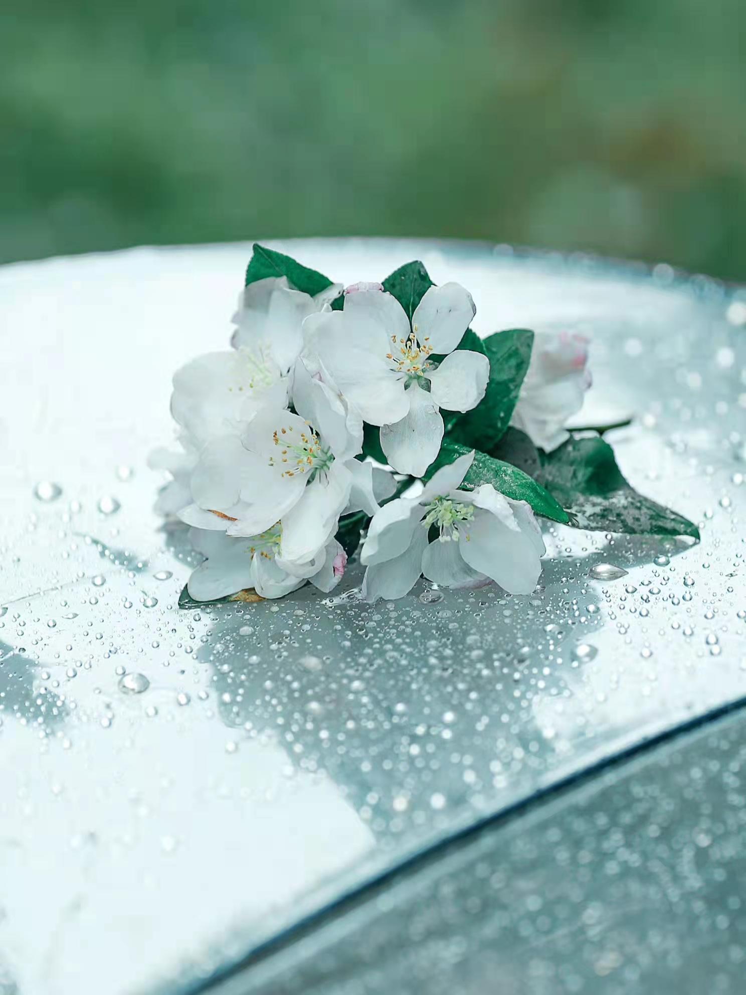 苏轼的豁达，蒋捷的孤独（2首写雨的古诗词）