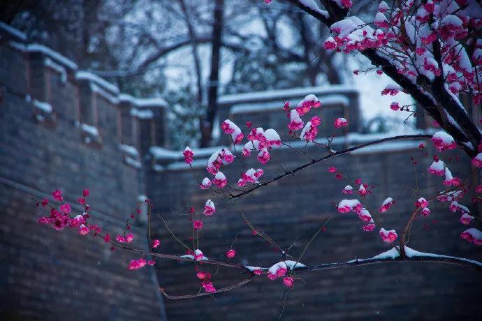 写雪诗词名句大全（6首写雪的经典唐诗）