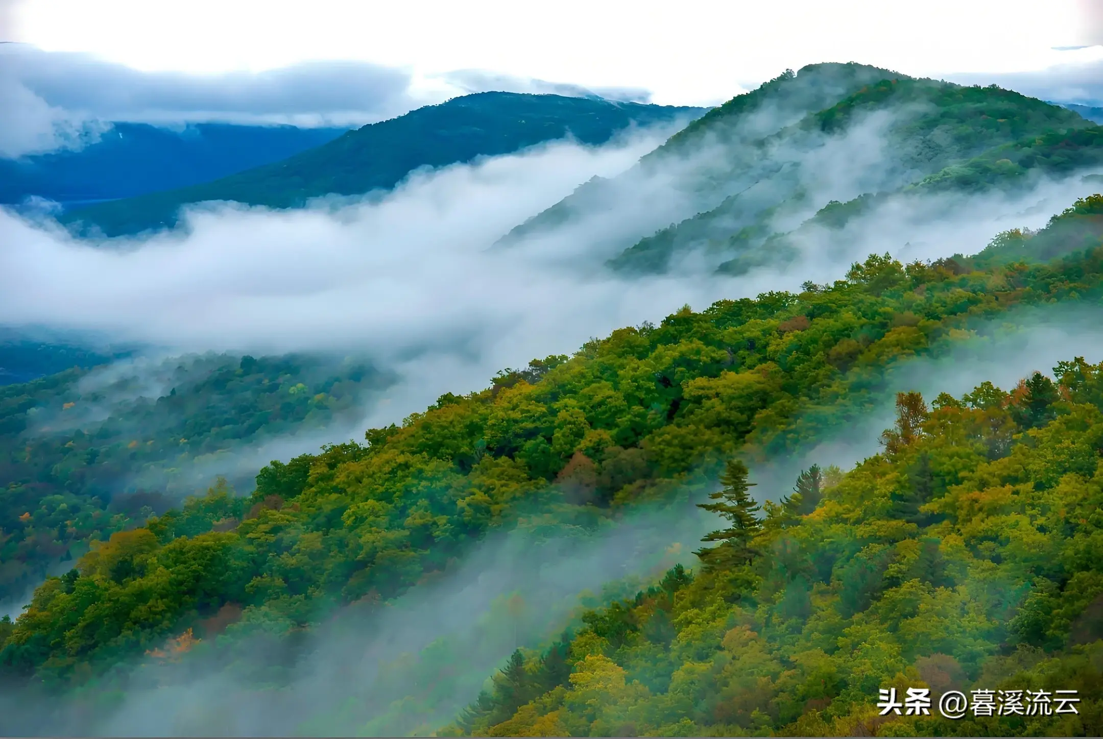 空灵古诗名句有哪些（十首空灵唯美的五言短诗）