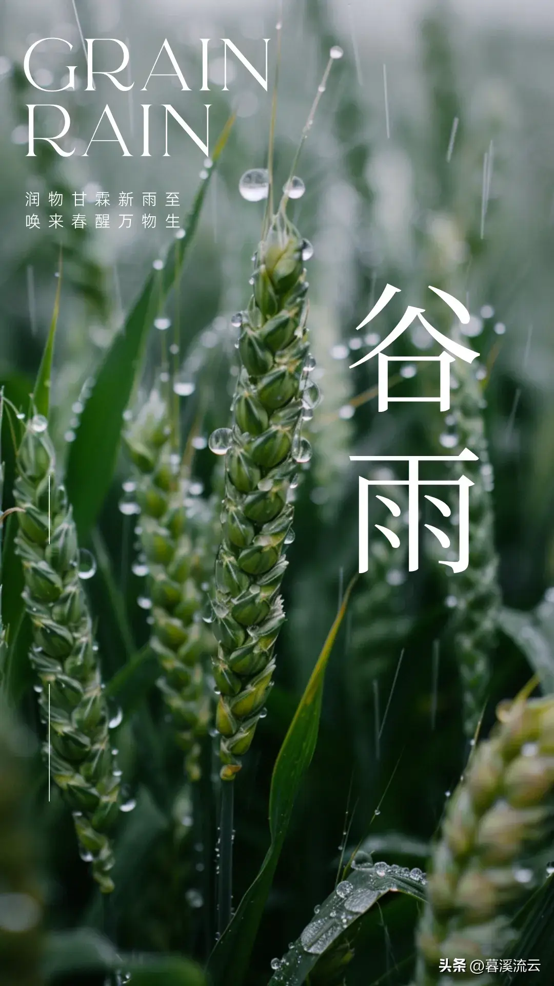 细雨如丝，百谷生发（推荐十首优美谷雨诗词）