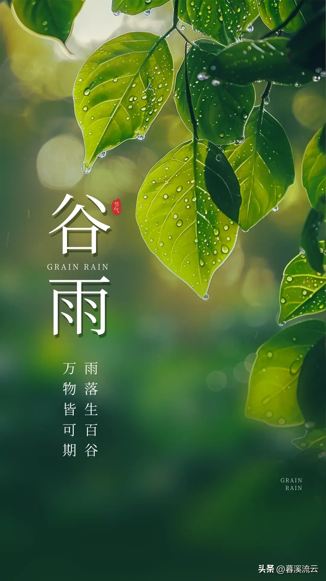 细雨如丝，百谷生发（推荐十首优美谷雨诗词）