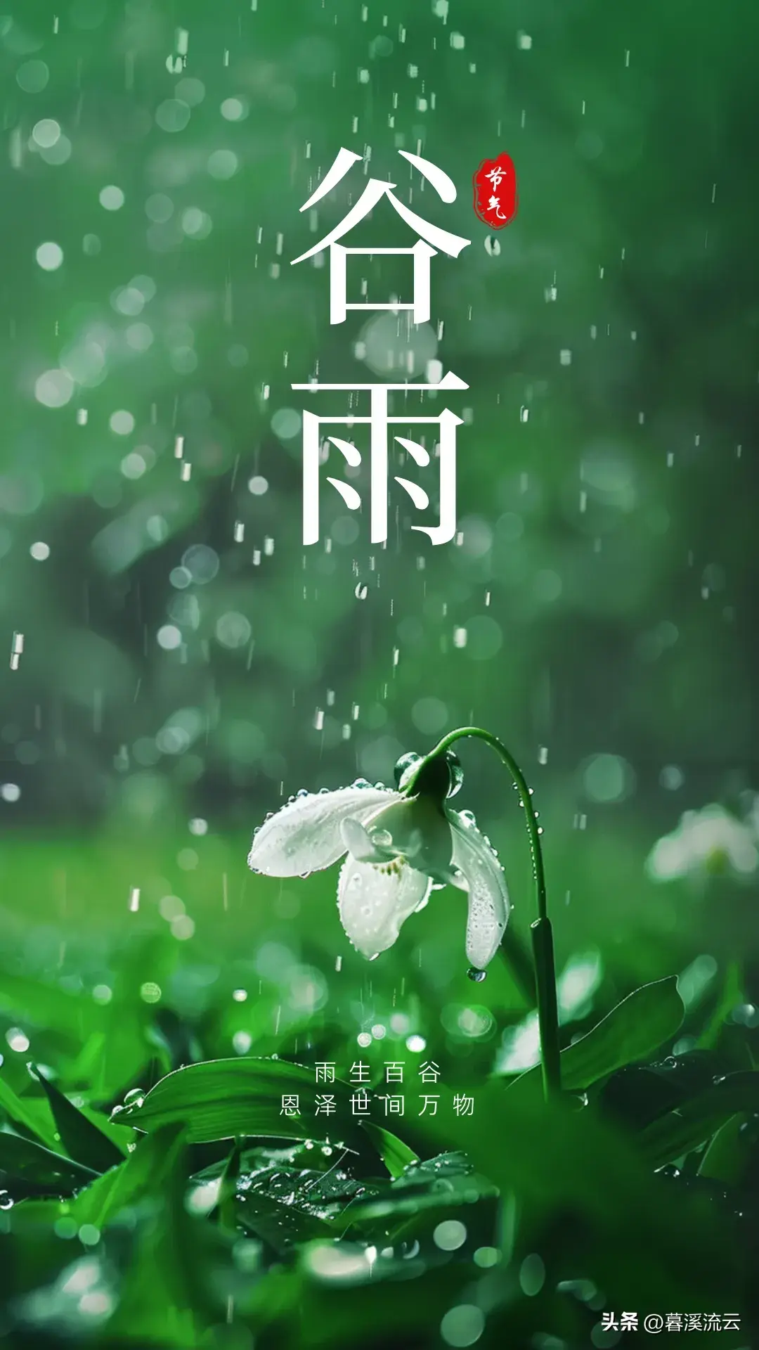 细雨如丝，百谷生发（推荐十首优美谷雨诗词）