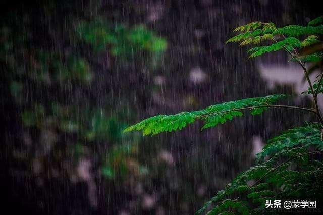 春雨经典古诗有哪些（陆游43首春雨古诗词）