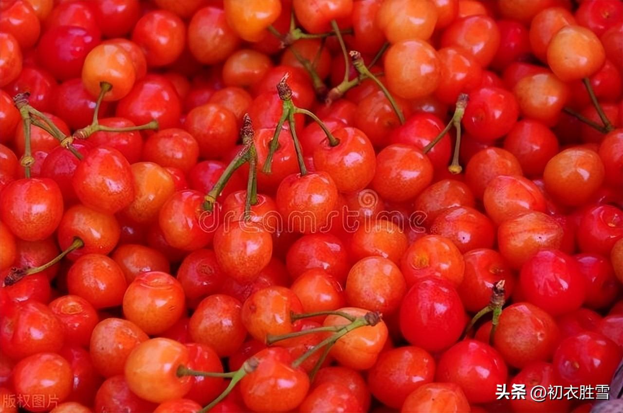 早夏樱桃五首经典诗词（四月园林春去后，樱桃色照银盘溜）