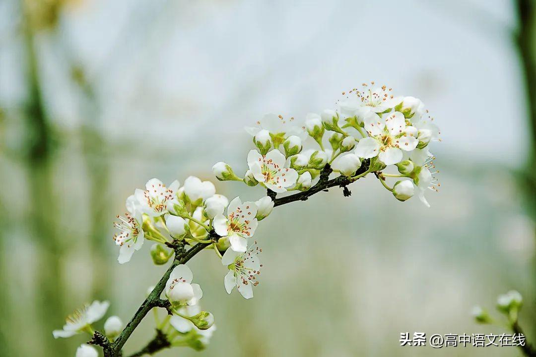 花间优美古诗词大全（写尽风流与缠绵经典花间词）