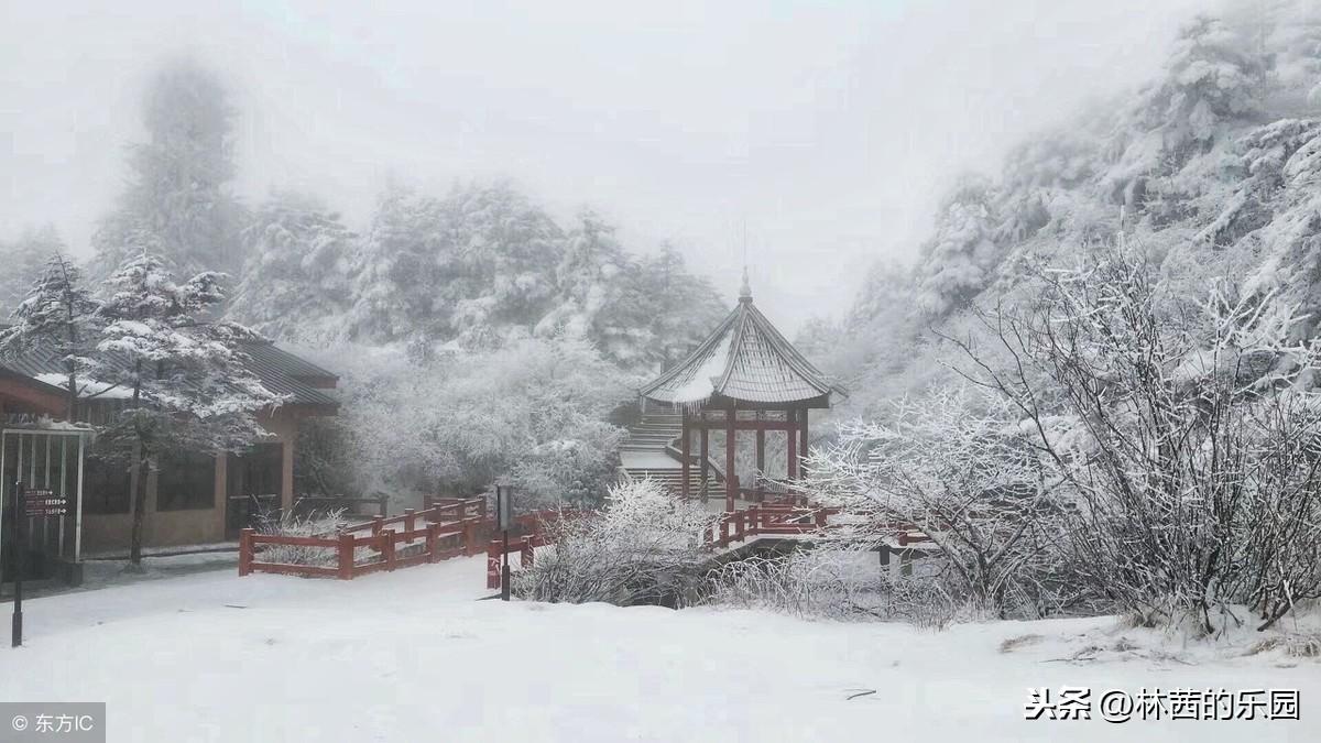 雪影映梅香，画意融诗情（推荐16首冬天的经典诗词）