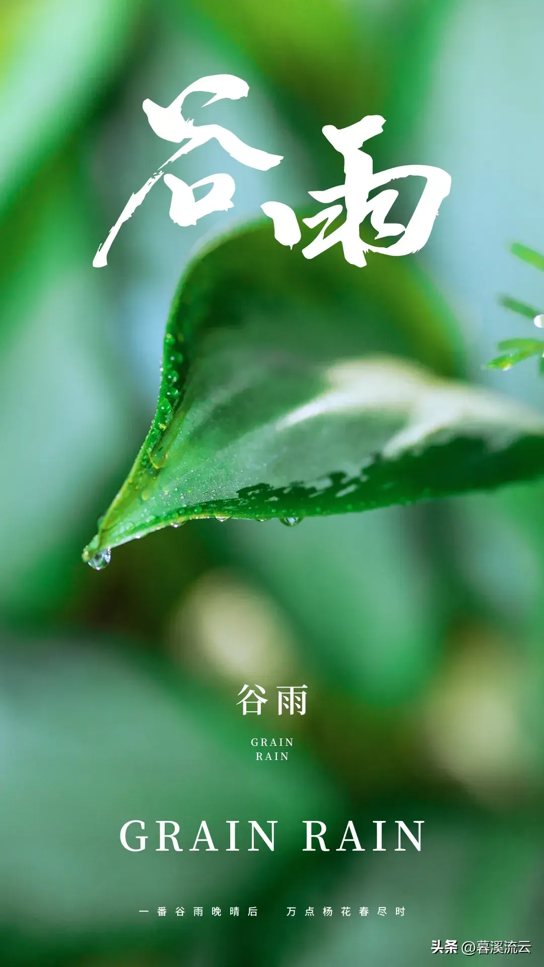 细雨如丝，百谷生发（分享十首优美谷雨诗词）