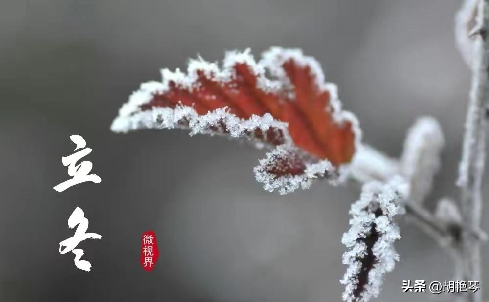 黄叶萧萧作别离，今宵过后多添衣（8首立冬诗词）