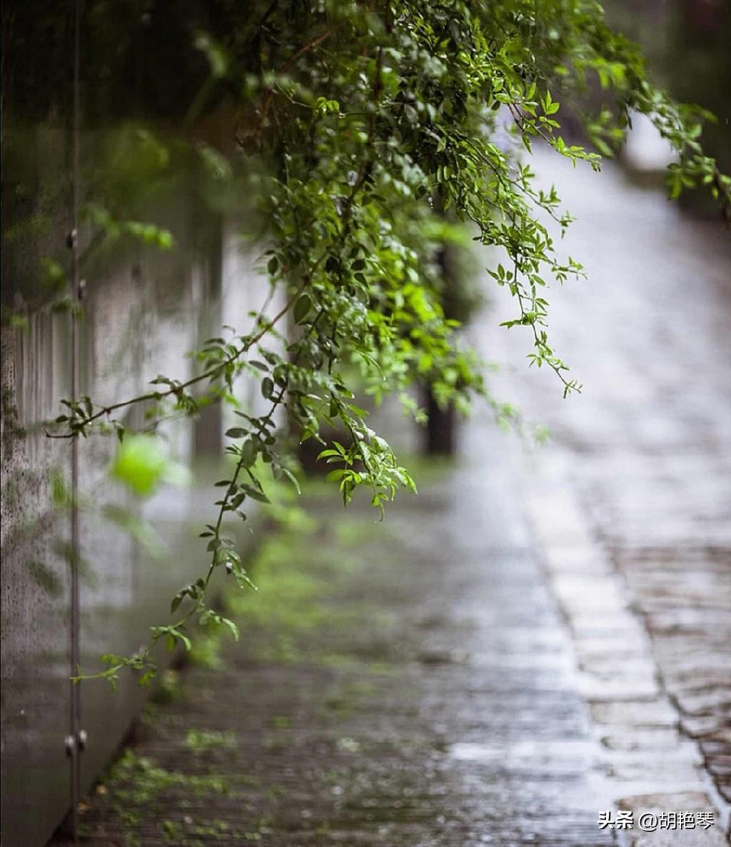 一滴雨落，一片叶黄（雨水10首诗词）