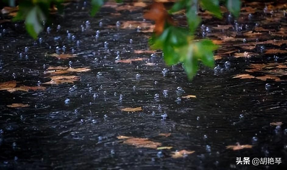 一滴雨落，一片叶黄（雨水10首诗词）