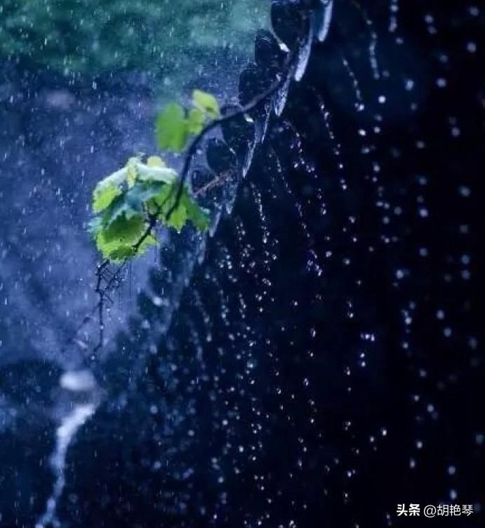 一滴雨落，一片叶黄（雨水10首诗词）