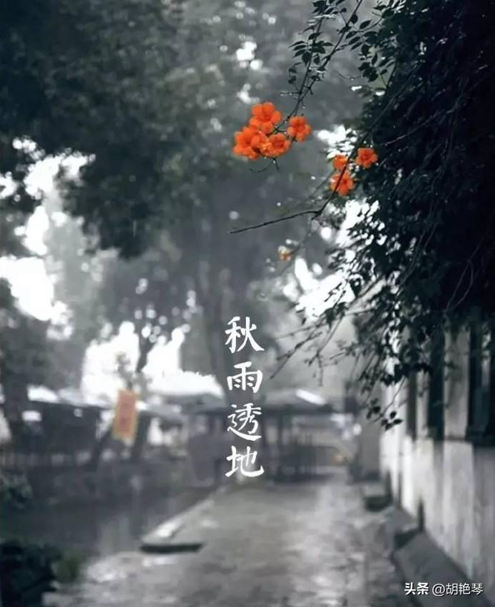 一滴雨落，一片叶黄（雨水10首诗词）