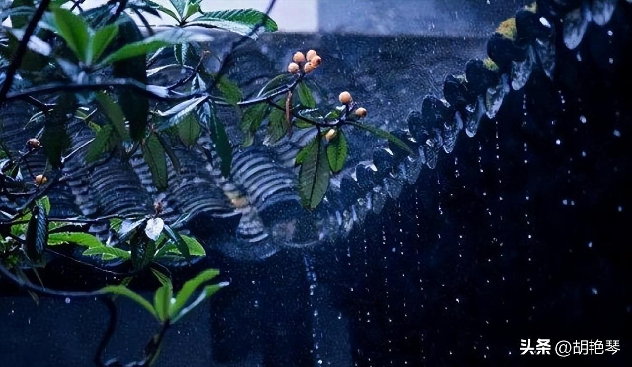 一滴雨落，一片叶黄（雨水10首诗词）