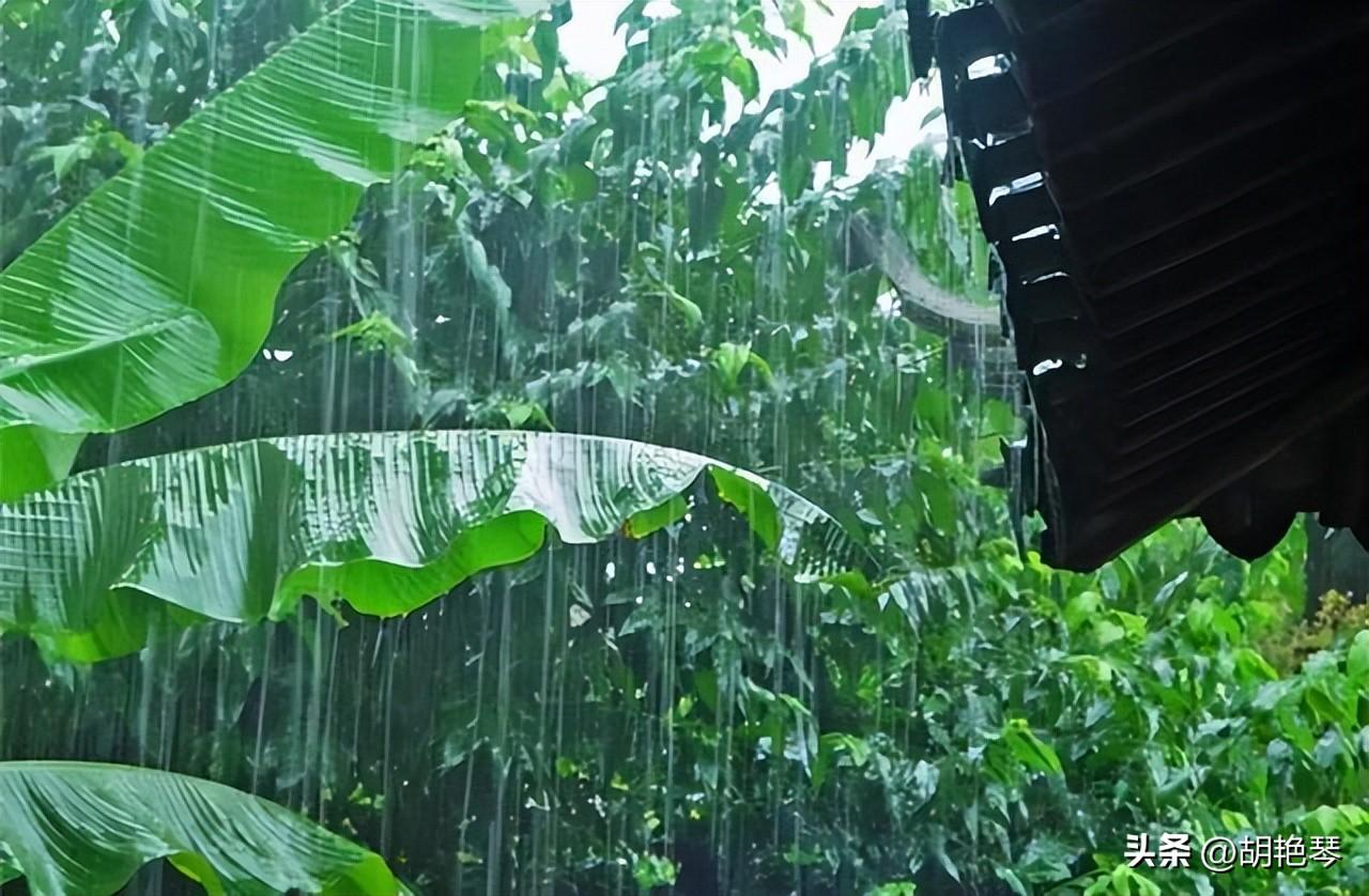 一滴雨落，一片叶黄（雨水10首诗词）