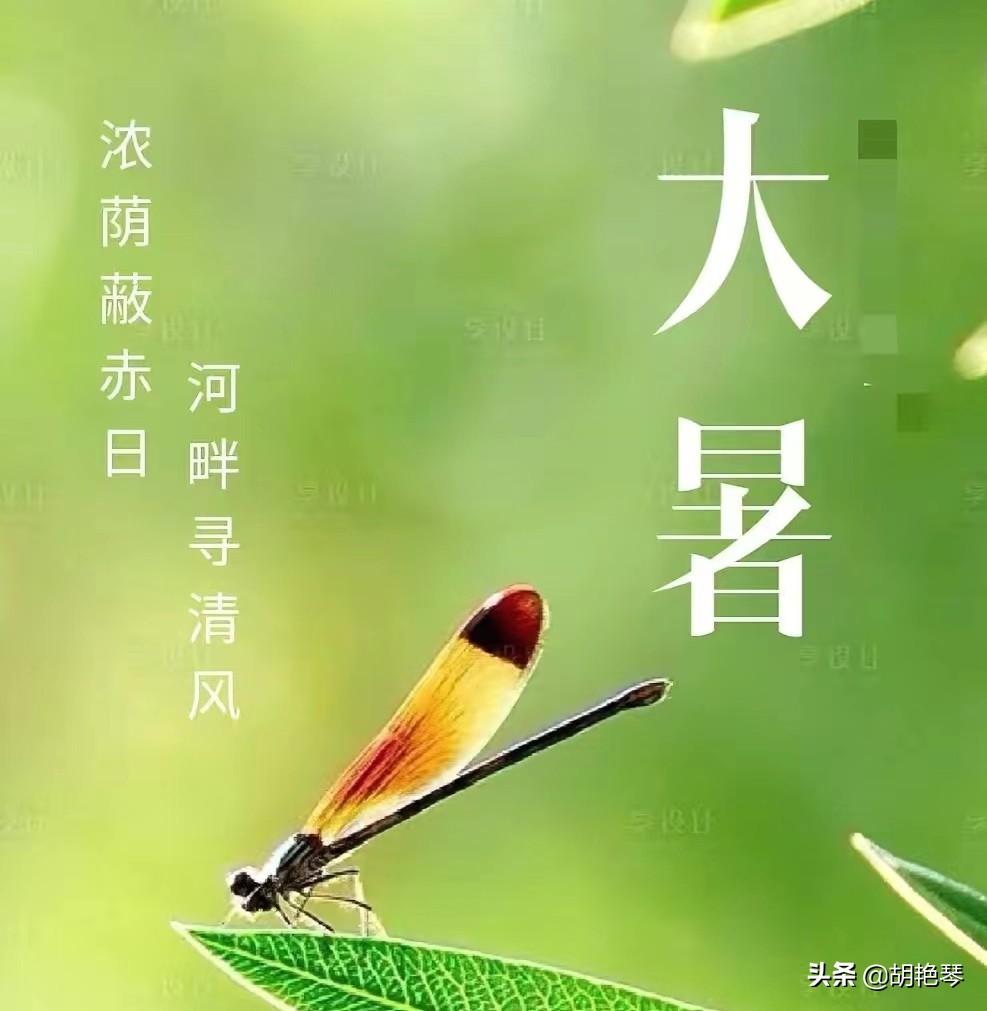 大暑节气经典诗词（大暑诗词五首）