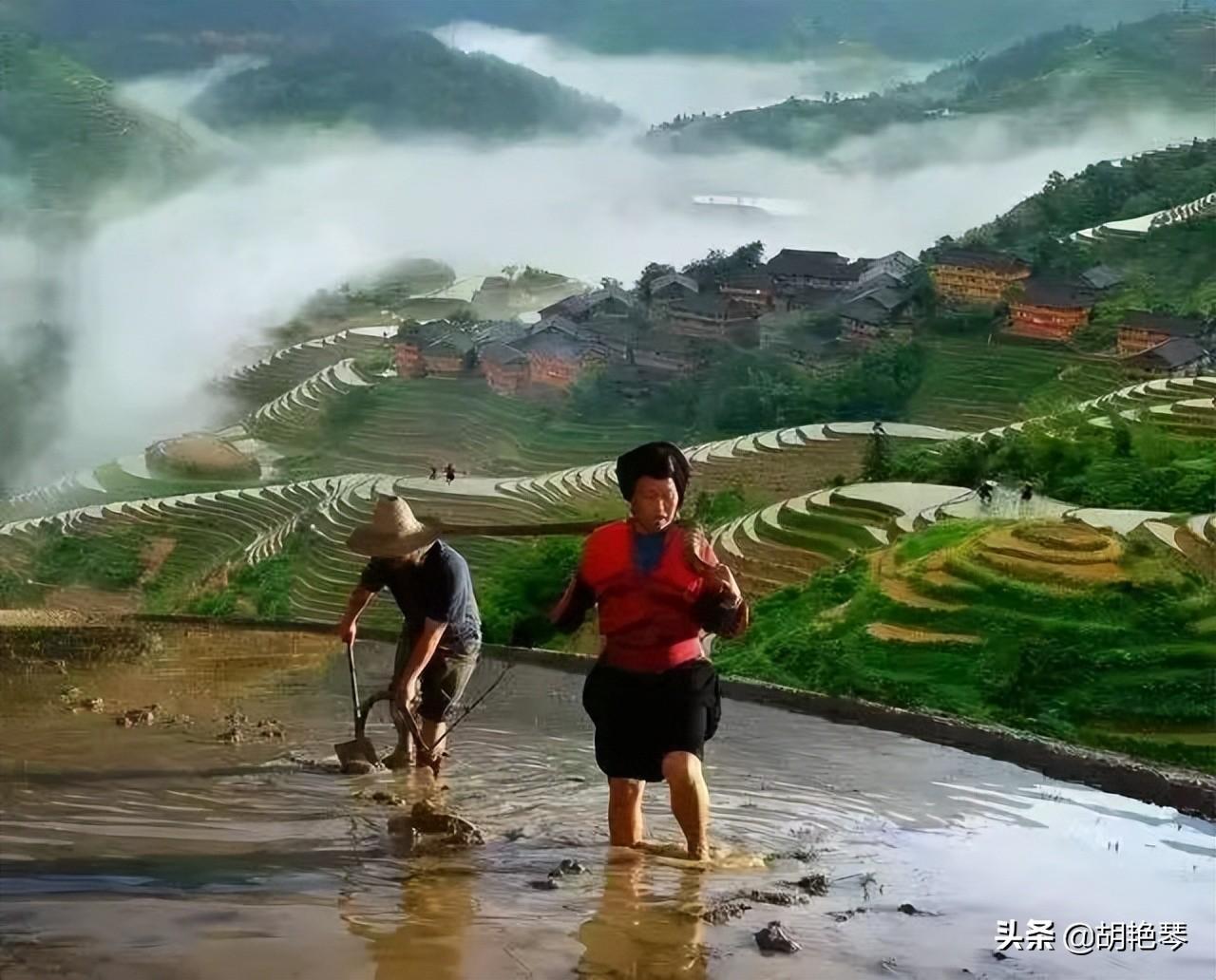 正好清明连谷雨，一杯香茗坐其间（经典8首谷雨诗词）