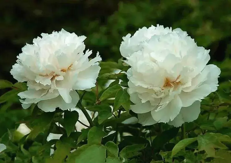 春尽夏至谷雨天，莫负人间好风光（精选9首谷雨诗词）