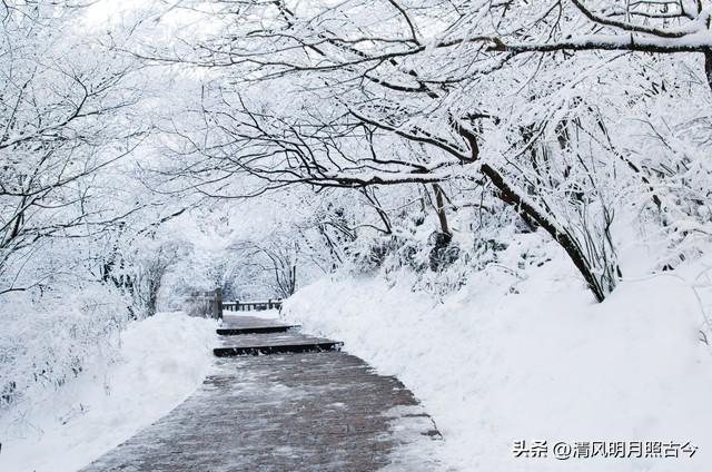 初雪古诗名句大全（九首初雪古诗词）