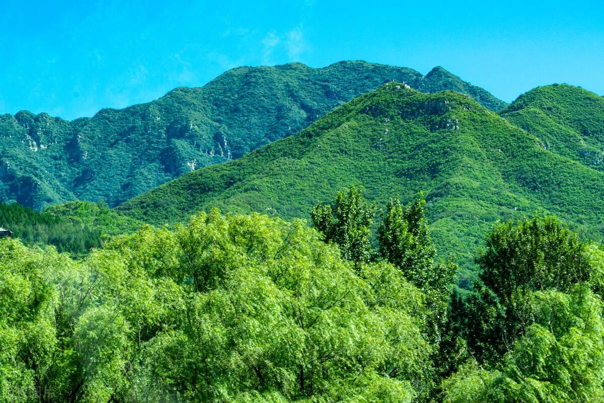 青山经典古诗有哪些（十首诗词中的青山白云）