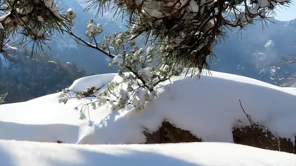 雪景经典古诗大全（九句优美雪景诗词）