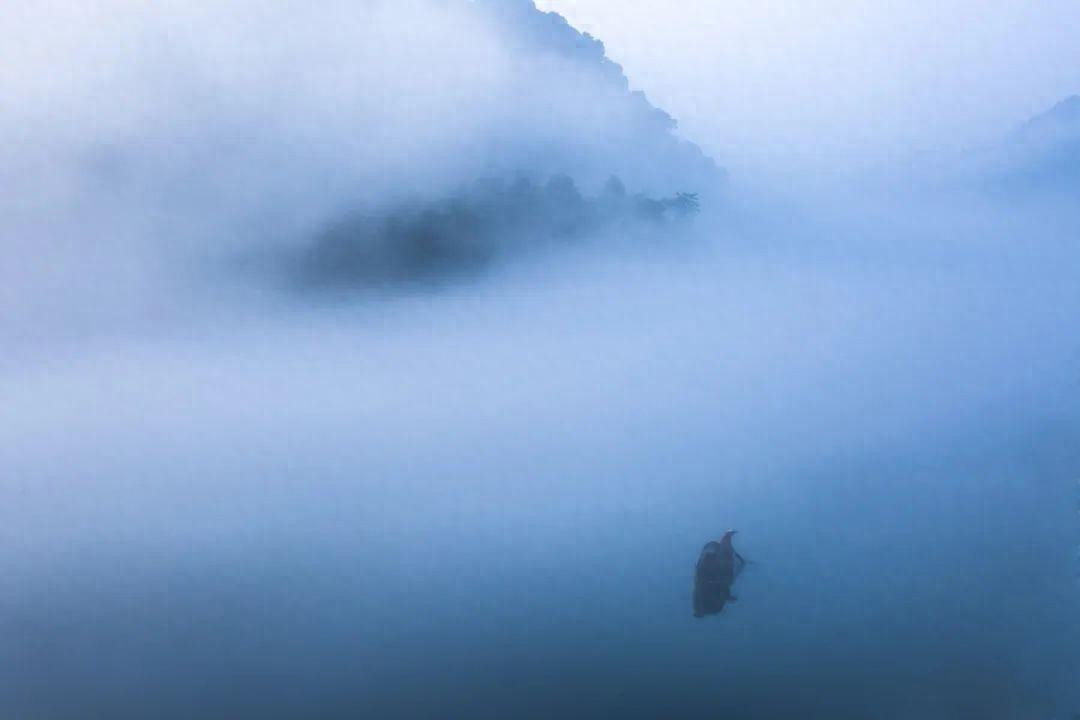 江海之志，潇洒快意（关于江海的42句古诗词）