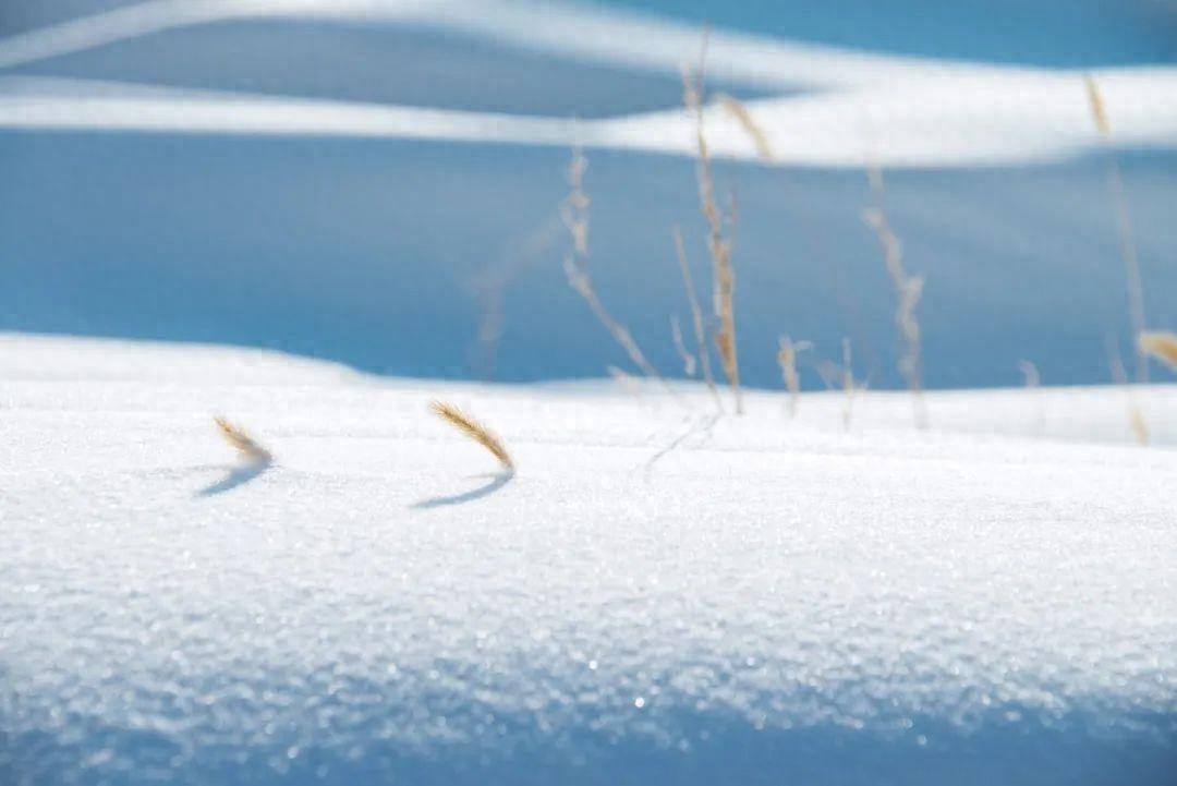 小寒天气，踏雪寻梅（推荐32首小寒诗词著名）